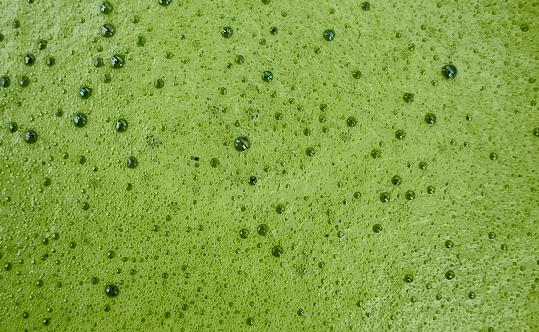 Todos los beneficios del matcha